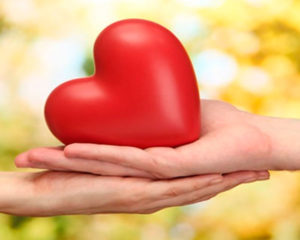 Curso Oficial de Mindfulness y Autocompasión (MSC) @ Fundación Sophia