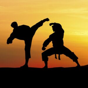 FORO ABIERTO: La Vía de las Artes Marciales @ Fundación Sophia