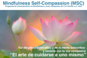 Taller Mindfulness MSC Presencial. @ Fundación Sophia
