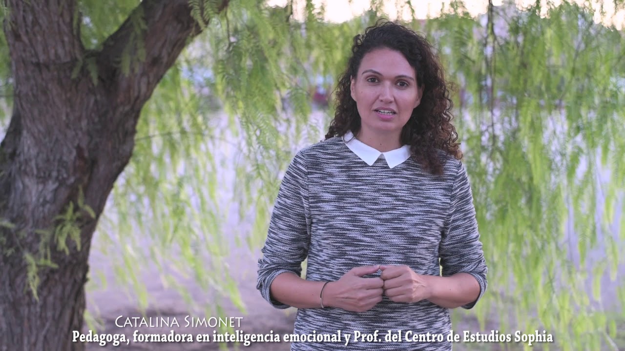 Taller de Inteligencia Emociona - Fundación Sophia