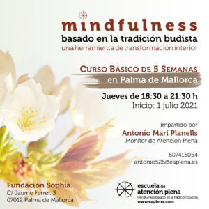 Curso Mindfulness MBTB (basado en la tradición budista) @ Fundación Sophia