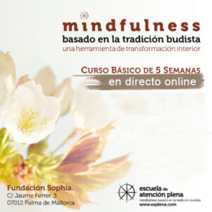 Curso presencial: Mindfulness MBTB (basado en la tradición budista) @ Fundación Sophia